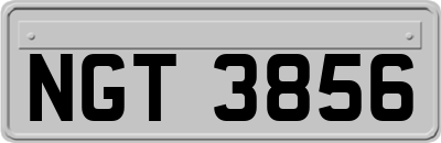 NGT3856