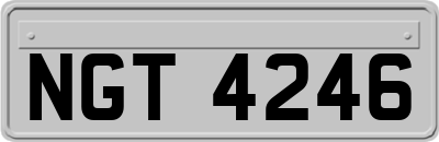 NGT4246