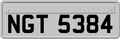 NGT5384