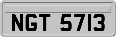 NGT5713