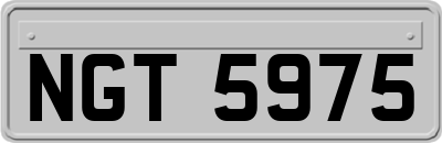 NGT5975
