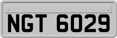 NGT6029