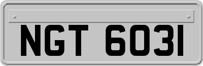 NGT6031