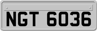 NGT6036