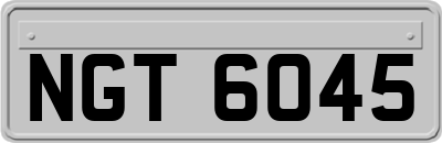 NGT6045