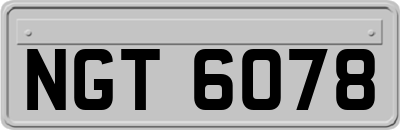 NGT6078