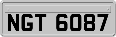 NGT6087
