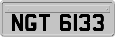 NGT6133