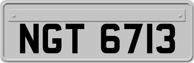 NGT6713