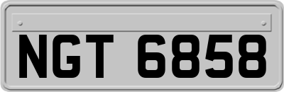 NGT6858