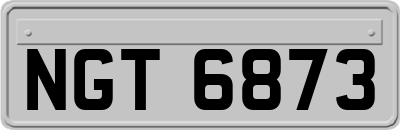 NGT6873