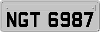 NGT6987