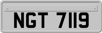 NGT7119