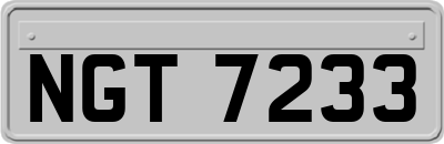 NGT7233