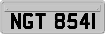 NGT8541