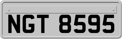NGT8595