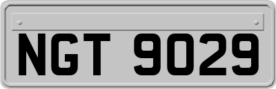 NGT9029