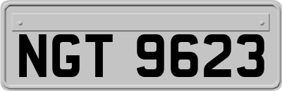 NGT9623