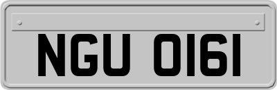 NGU0161