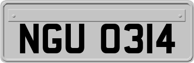 NGU0314