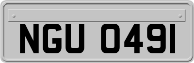 NGU0491