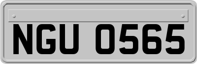 NGU0565
