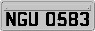 NGU0583