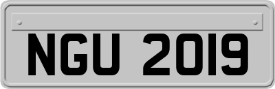 NGU2019