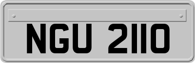 NGU2110