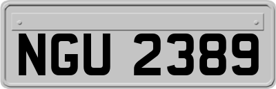 NGU2389