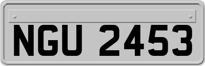 NGU2453