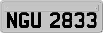 NGU2833