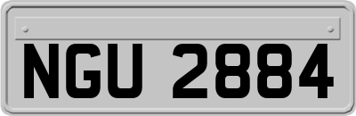 NGU2884