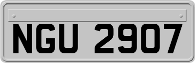 NGU2907