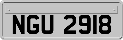 NGU2918