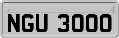 NGU3000