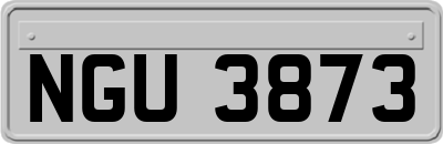 NGU3873