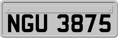 NGU3875
