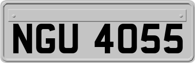 NGU4055
