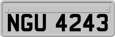 NGU4243