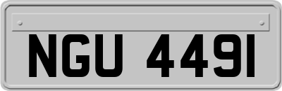 NGU4491