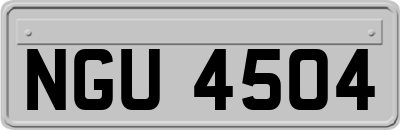NGU4504