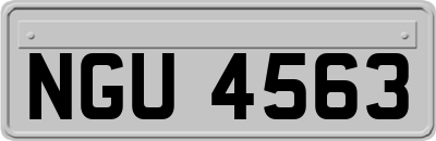 NGU4563