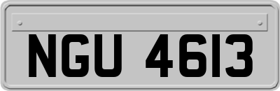 NGU4613