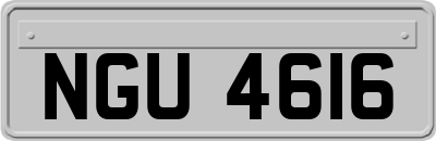 NGU4616