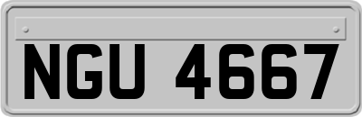 NGU4667