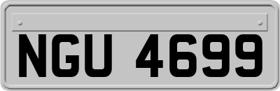 NGU4699