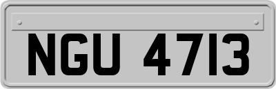 NGU4713