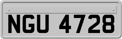 NGU4728