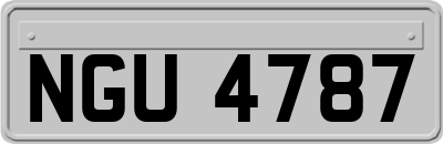 NGU4787